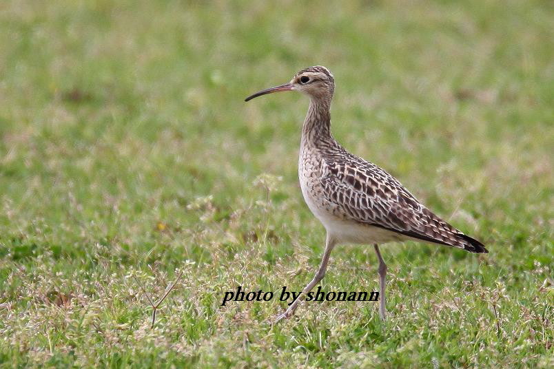 �Ó�̕��ƌ�