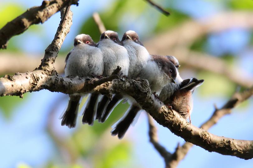 �Ó�̕��ƌ�