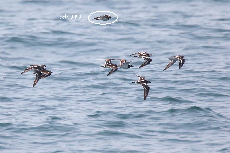 �Ó�̕��ƌ�