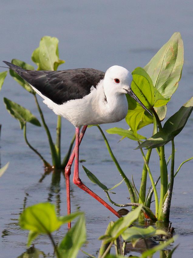 �Ó�̕��ƌ�