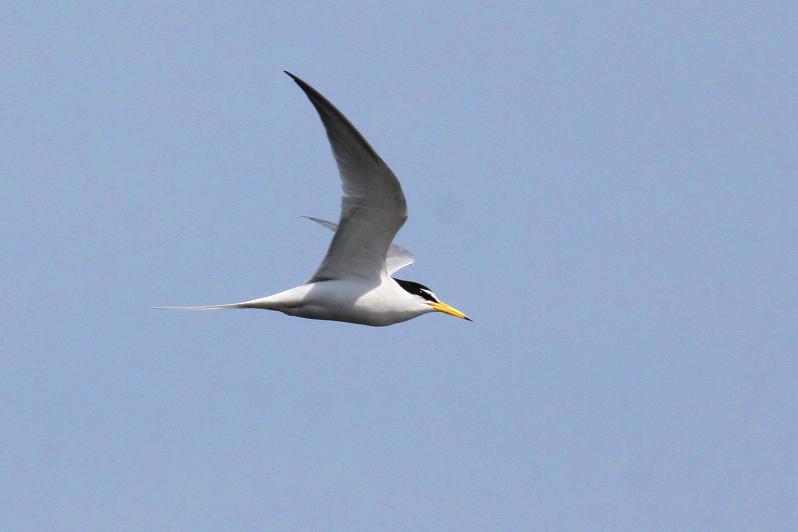 �Ó�̕��ƌ�