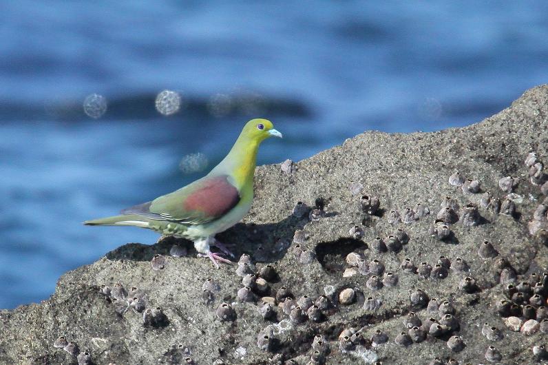 �Ó�̕��ƌ�