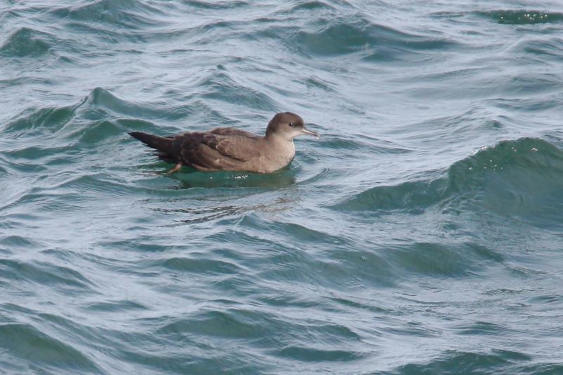 �Ó�̕��ƌ�