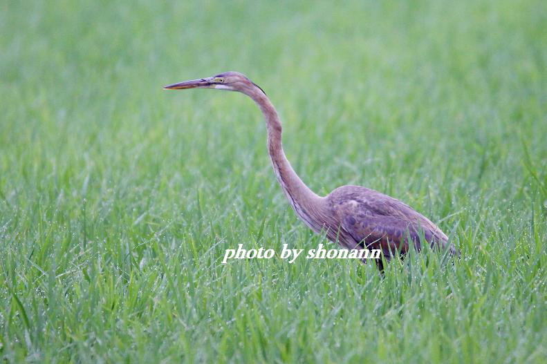 �Ó�̕��ƌ�