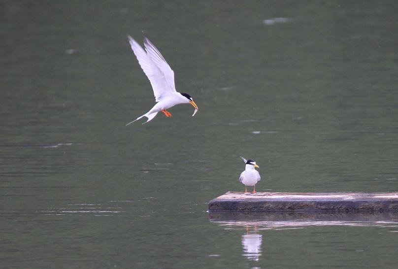 �Ó�̕��ƌ�