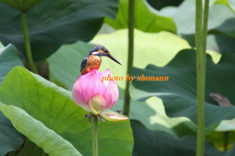 �Ó�̕��ƌ�