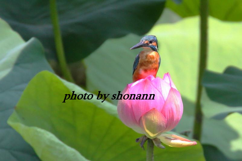 �Ó�̕��ƌ�