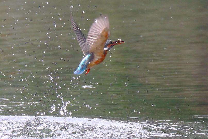 �Ó�̕��ƌ�