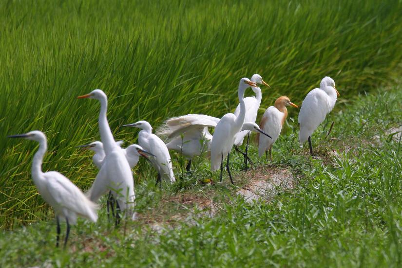 �Ó�̕��ƌ�