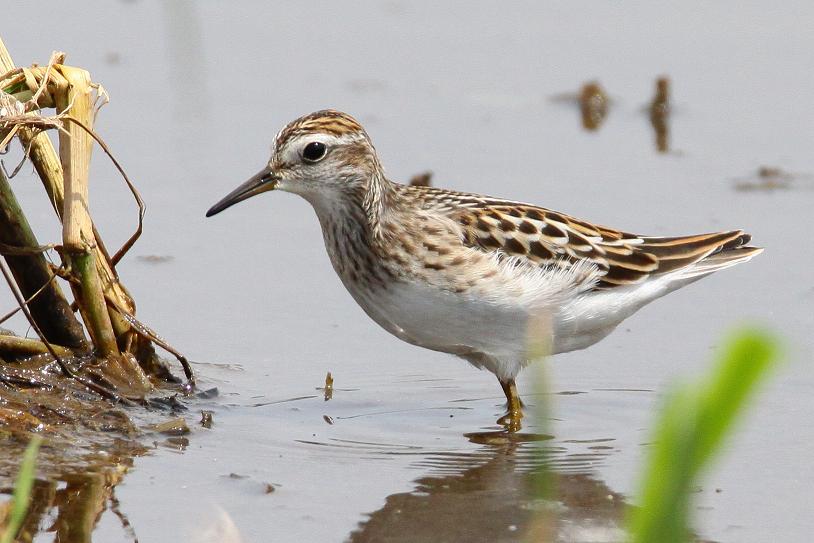 �Ó�̕��ƌ�