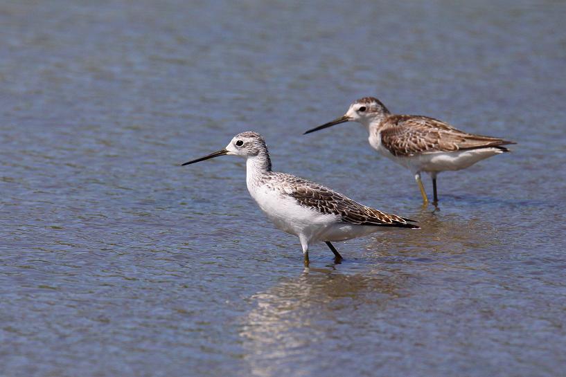 �Ó�̕��ƌ�