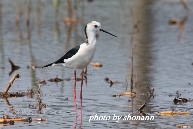 �Ó�̕��ƌ�