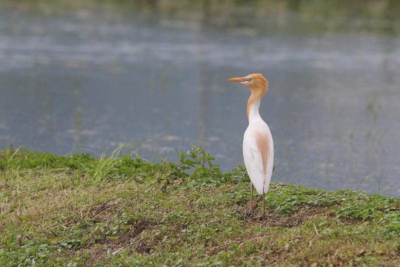 �Ó�̕��ƌ�