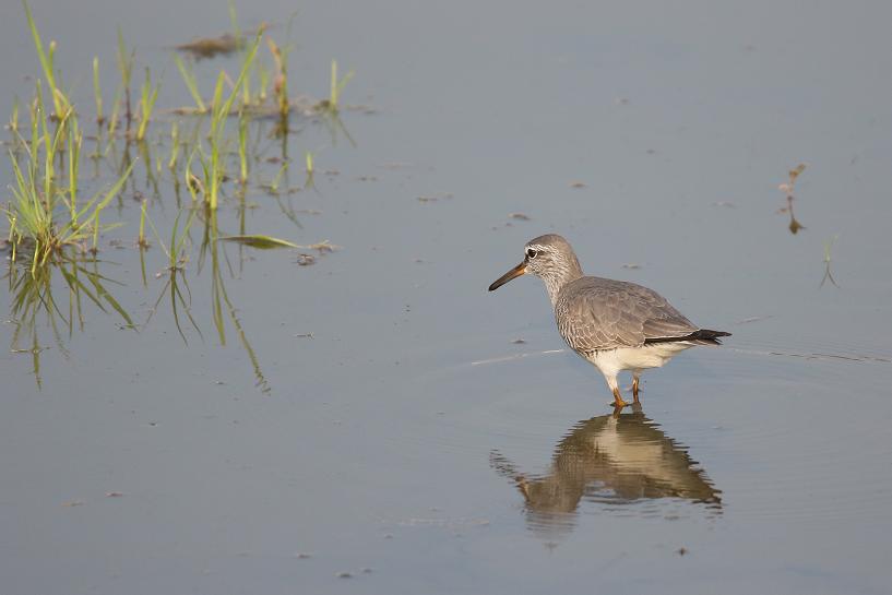 �Ó�̕��ƌ�