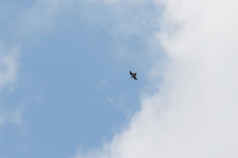 �Ó�̕��ƌ�