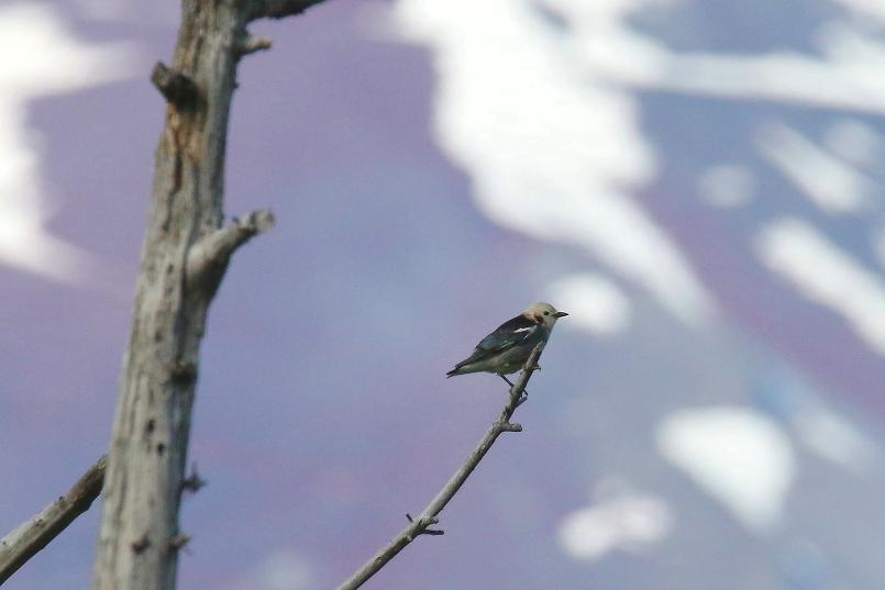 �Ó�̕��ƌ�