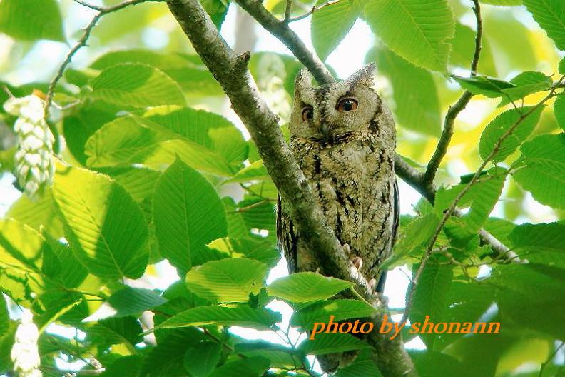 �Ó�̕��ƌ�