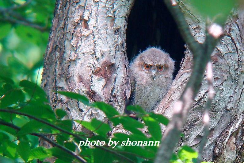 �Ó�̕��ƌ�