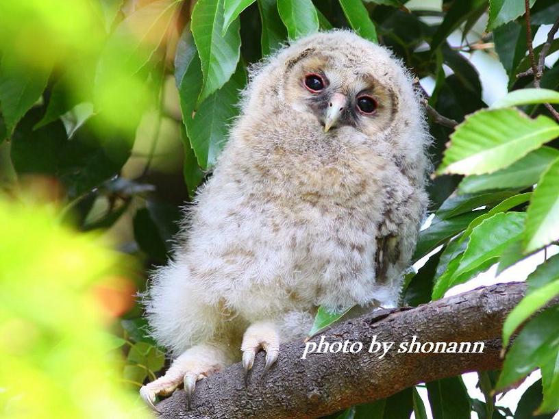 �Ó�̕��ƌ�