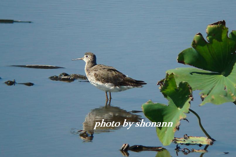 �Ó�̕��ƌ�