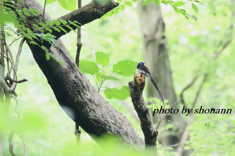 �Ó�̕��ƌ�