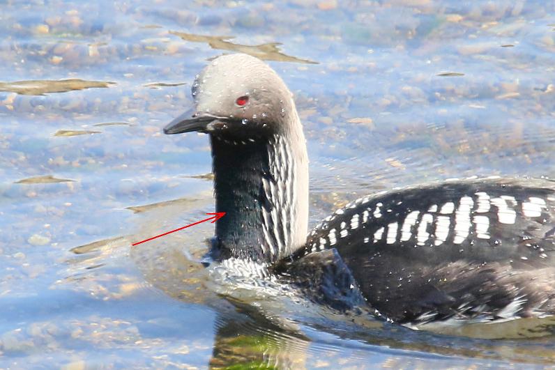 �Ó�̕��ƌ�