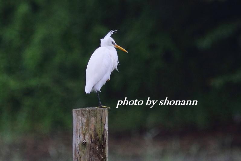 �Ó�̕��ƌ�