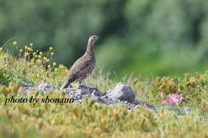 �Ó�̕��ƌ�