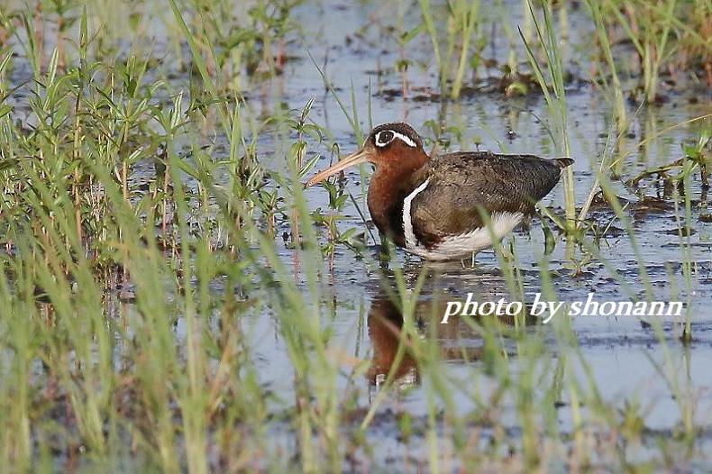 �Ó�̕��ƌ�