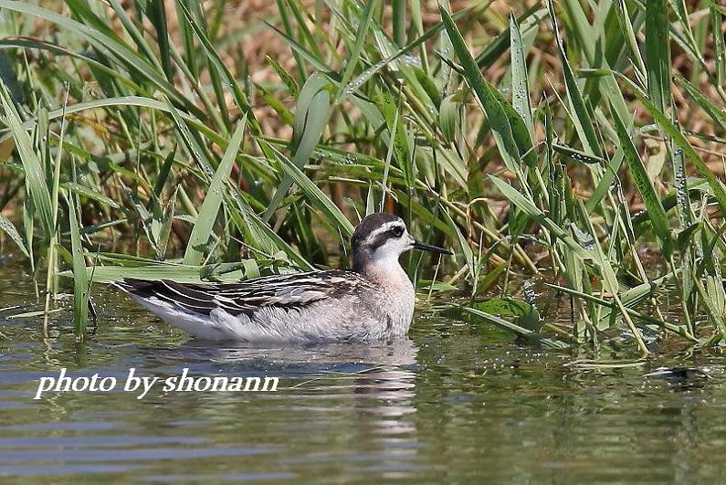 �Ó�̕��ƌ�