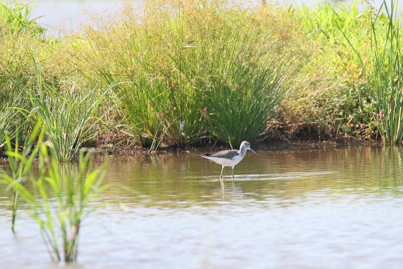 �Ó�̕��ƌ�