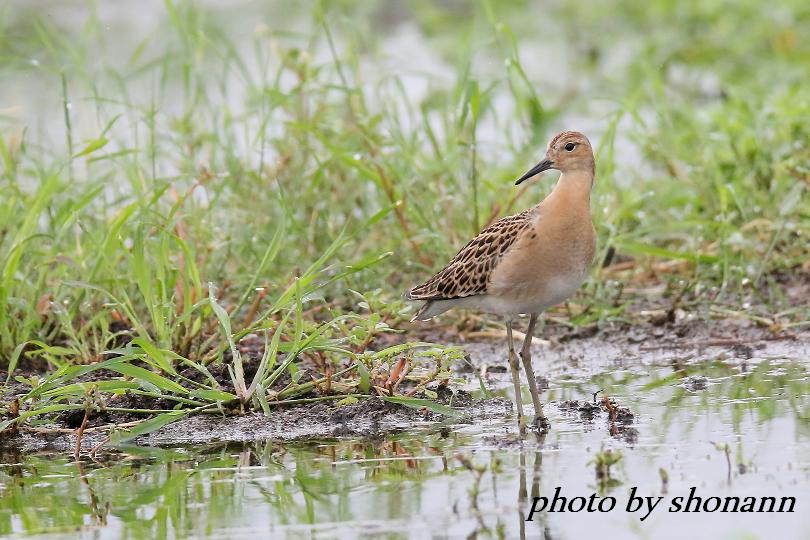 �Ó�̕��ƌ�