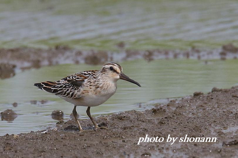 �Ó�̕��ƌ�