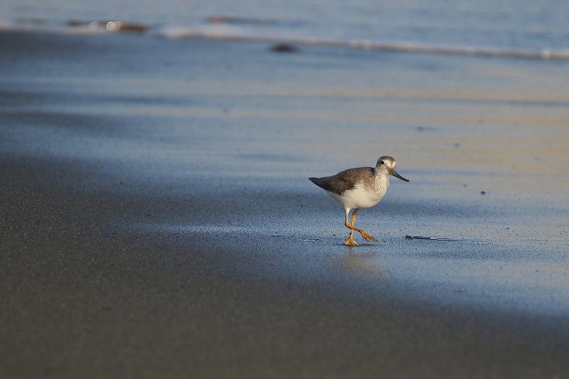 �Ó�̕��ƌ�