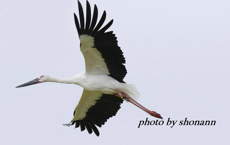 �Ó�̕��ƌ�