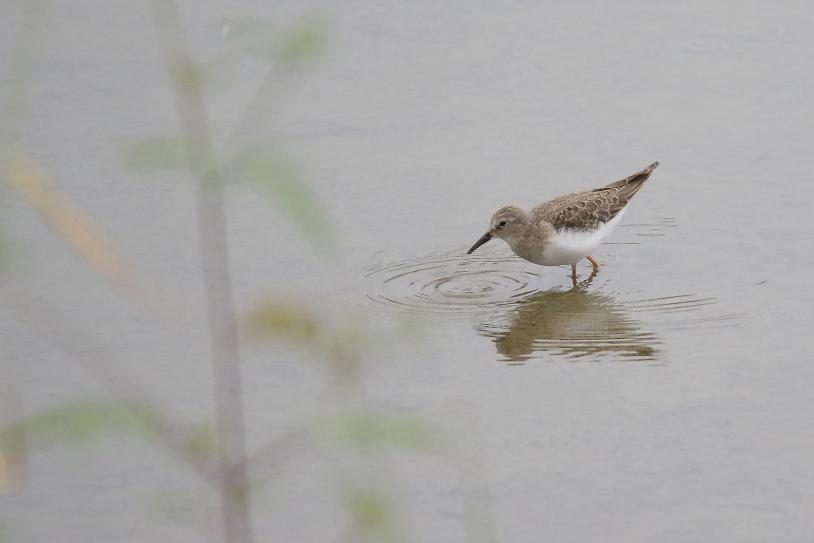 �Ó�̕��ƌ�