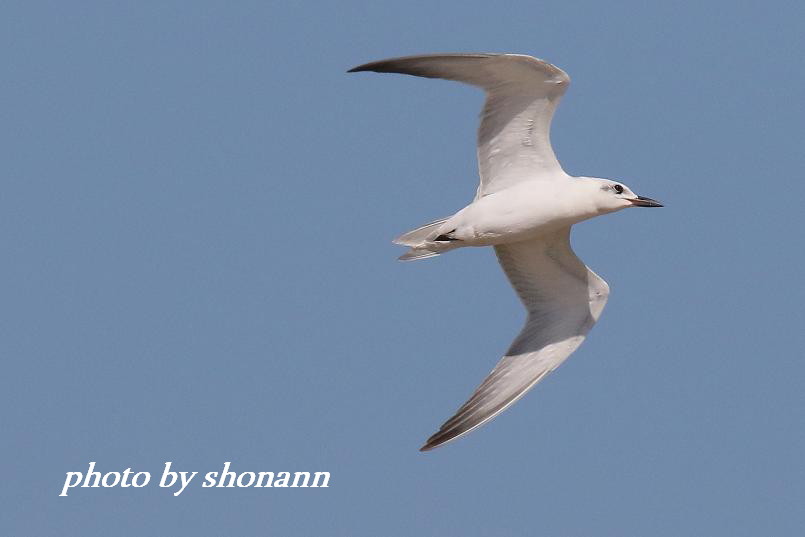 �Ó�̕��ƌ�