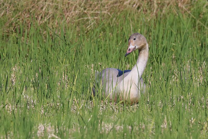 �Ó�̕��ƌ�