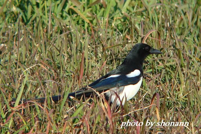 �Ó�̕��ƌ�