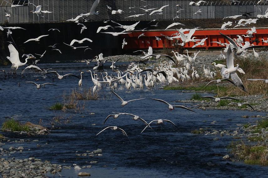 �Ó�̕��ƌ�