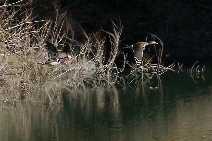 �Ó�̕��ƌ�