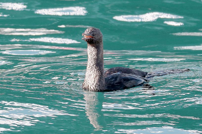 �Ó�̕��ƌ�