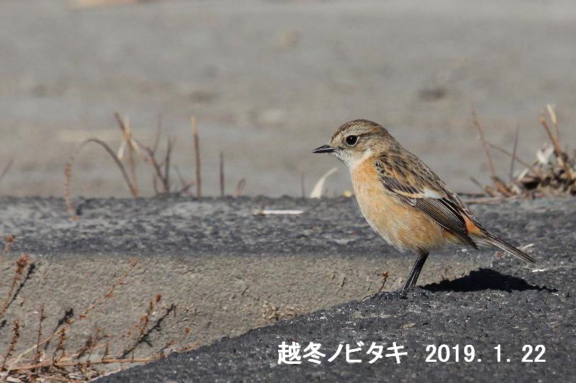 �Ó�̕��ƌ�