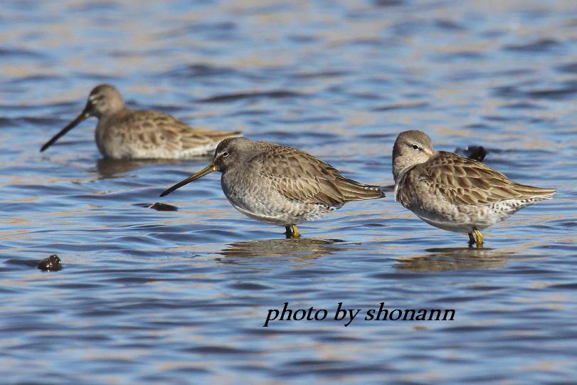 �Ó�̕��ƌ�