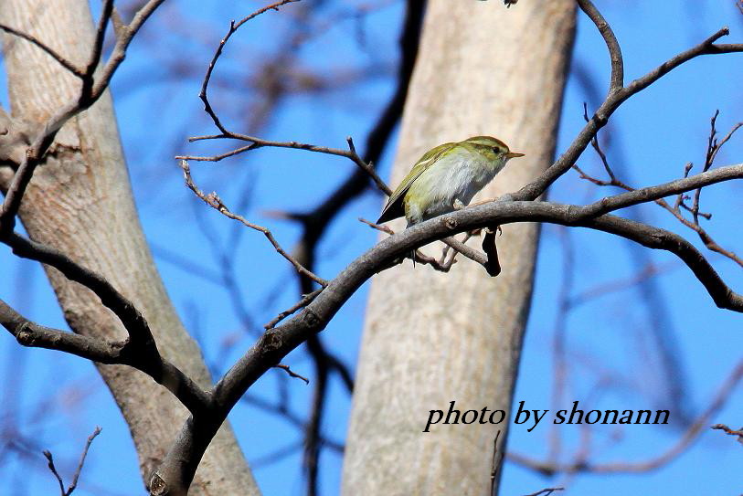 �Ó�̕��ƌ�