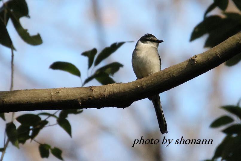 �Ó�̕��ƌ�