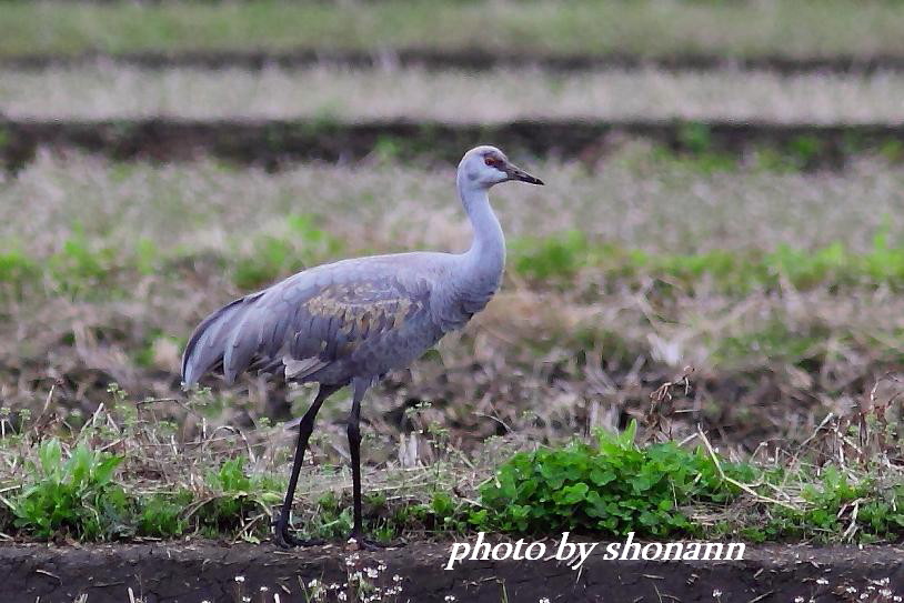 �Ó�̕��ƌ�