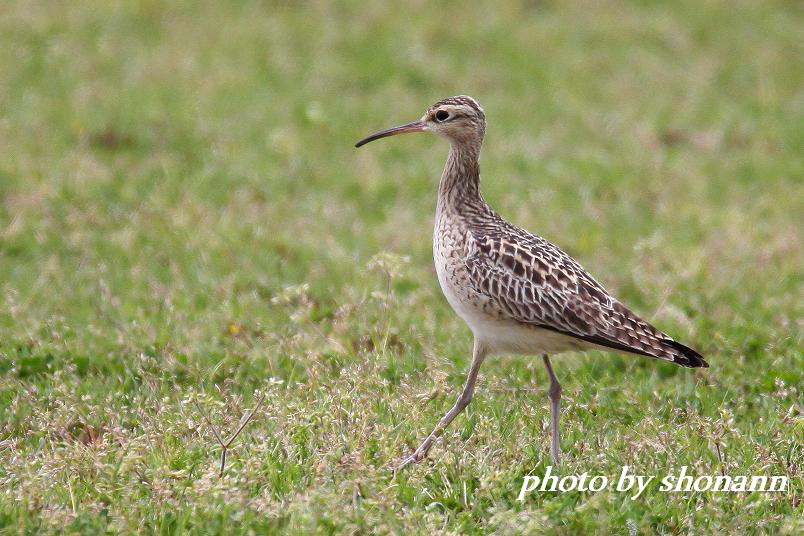 �Ó�̕��ƌ�