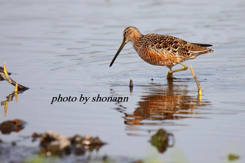 �Ó�̕��ƌ�