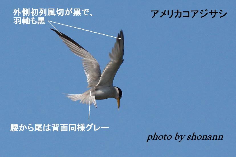 �Ó�̕��ƌ�